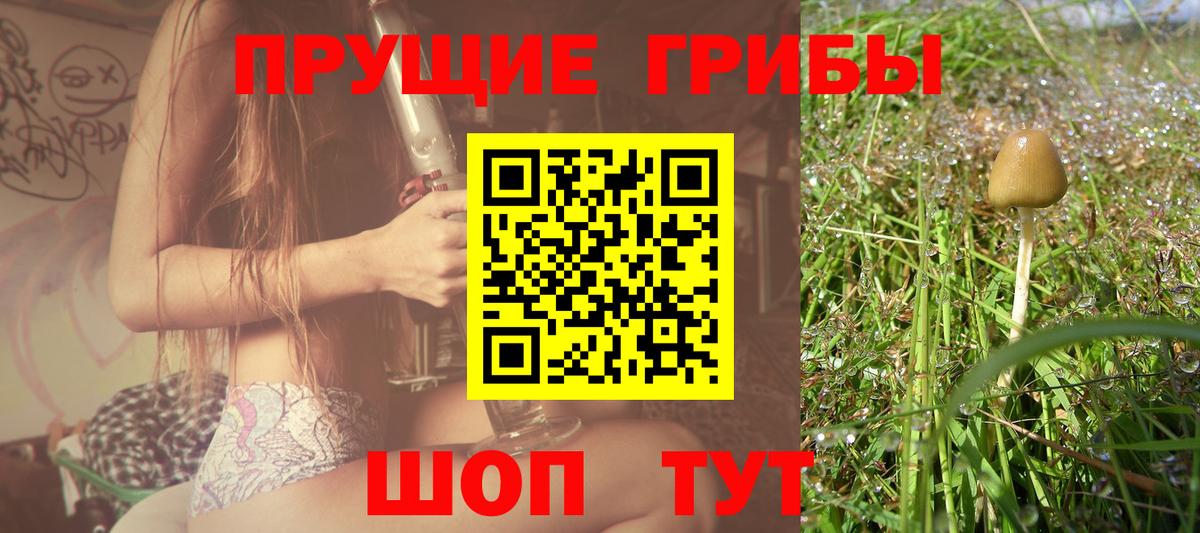 Галлюциногенные грибы Psilocybine cubensis Коммунар
