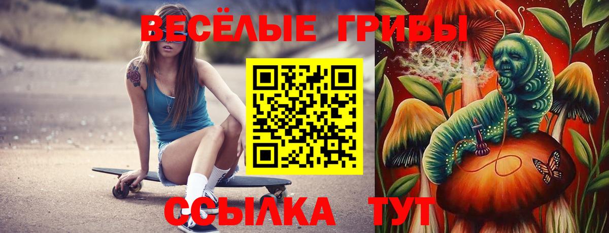 дарнет шоп  Галлюциногенные грибы прущие грибы  Вход с VPN  Коммунар  Галлюциногенные грибы мицелий 